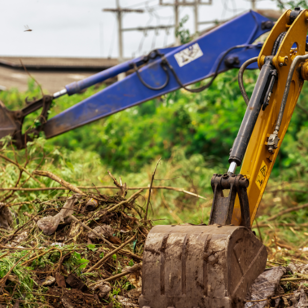 Devon Knotweed - Commercial knotweed site clearance